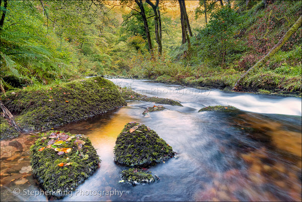 04457 - Watersmeet