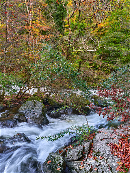 08195- Watersmeet