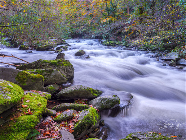 08691  - Watersmeet