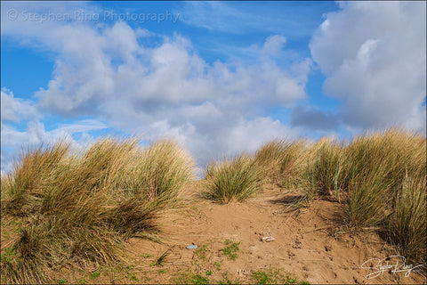 08803 - Northam Burrows