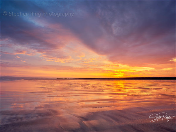 08916 - Westward Ho!