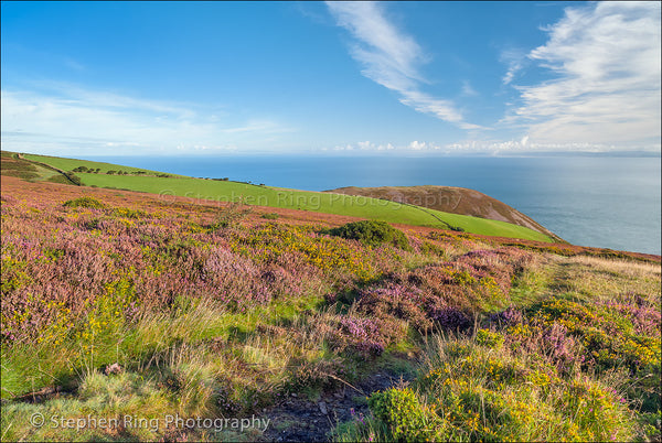 02404- Exmoor