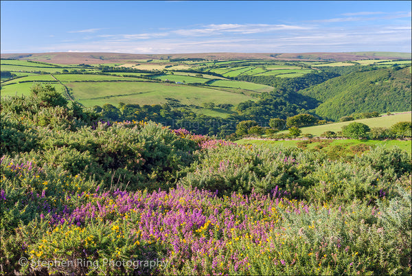 02405 - Exmoor