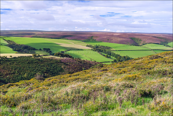 02454 - Exmoor