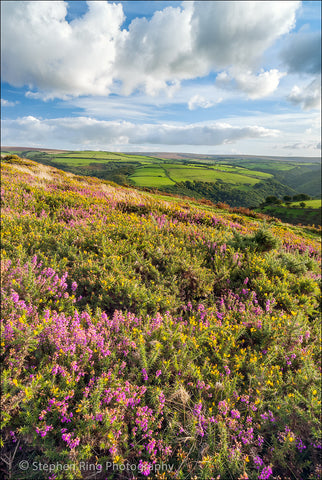 02490 - Exmoor