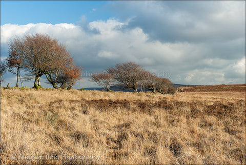 02501 - Exmoor