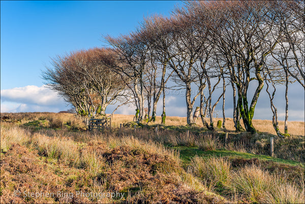 02570 - Exmoor