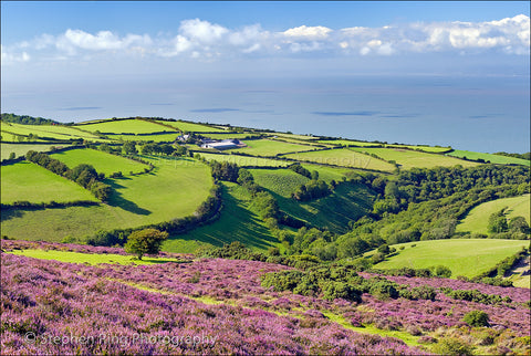 03043 - Exmoor