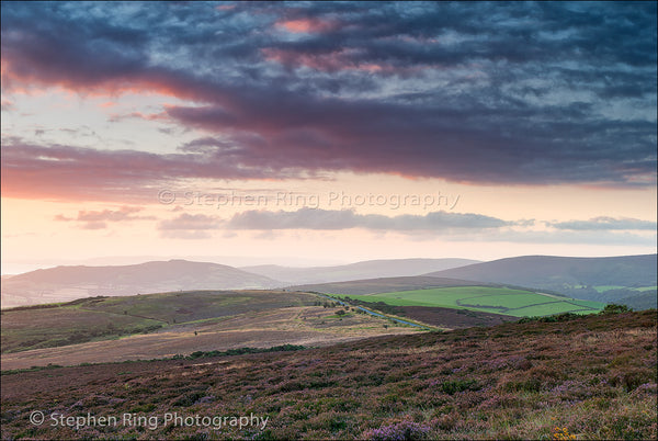 03359 - Exmoor