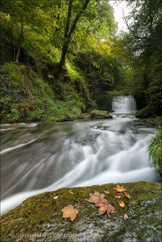 03373 - Exmoor