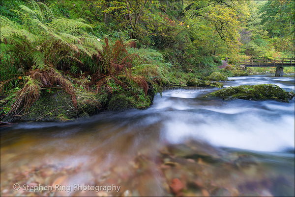 03397 - Exmoor