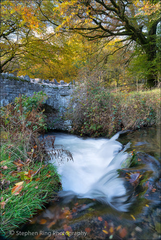 03406 - Exmoor