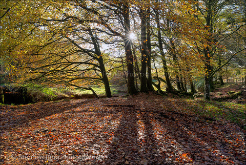 03407 - Exmoor