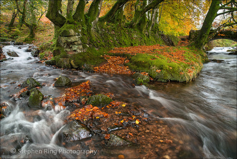 03410 - Exmoor