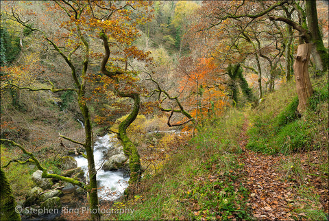 03439 - Exmoor