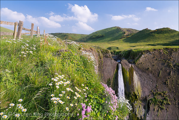 03576 - North Devon Canvas Prints