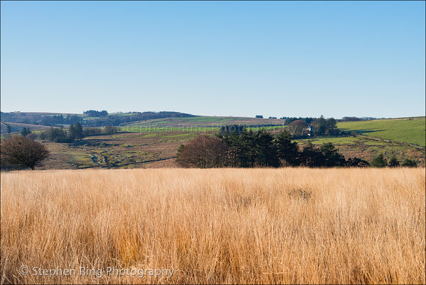 03940 - Dartmoor