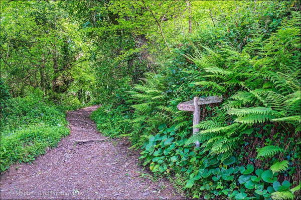 07374- Peppercombe