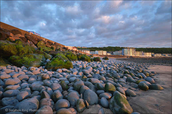 07869  - Westward Ho!