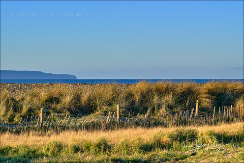 08232 - Northam Burrows