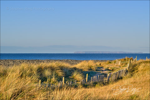 08234  - Northam Burrows