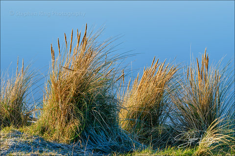 08236 - Northam Burrows