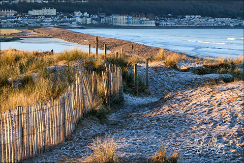 08237 - Northam Burrows